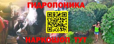 a pvp Лесосибирск