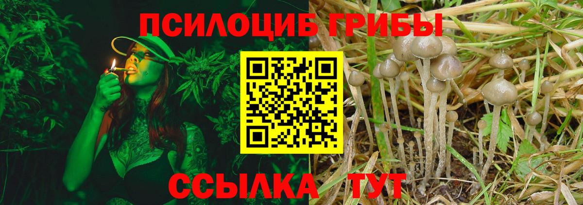 Грозный  Псилоцибиновые грибы ЛСД  Псилоцибиновые грибы MAGIC MUSHROOMS  купить наркотик  Вход с VPN 