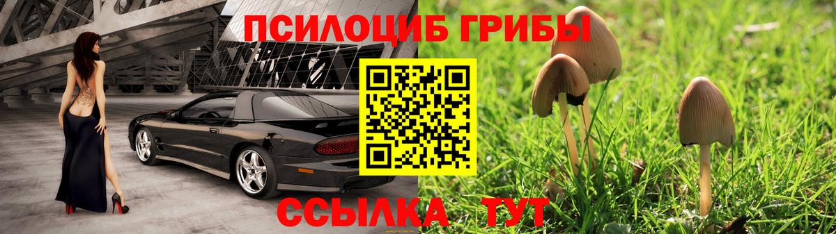 Галлюциногенные грибы ЛСД Грозный